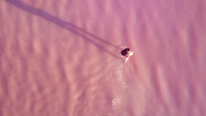 photo of woman in pink lake
