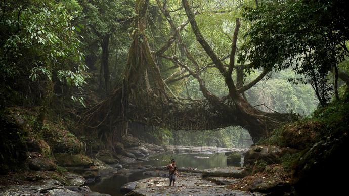 An image of woods with trees on a muddy bank on the left and right hand side. In the middle is water