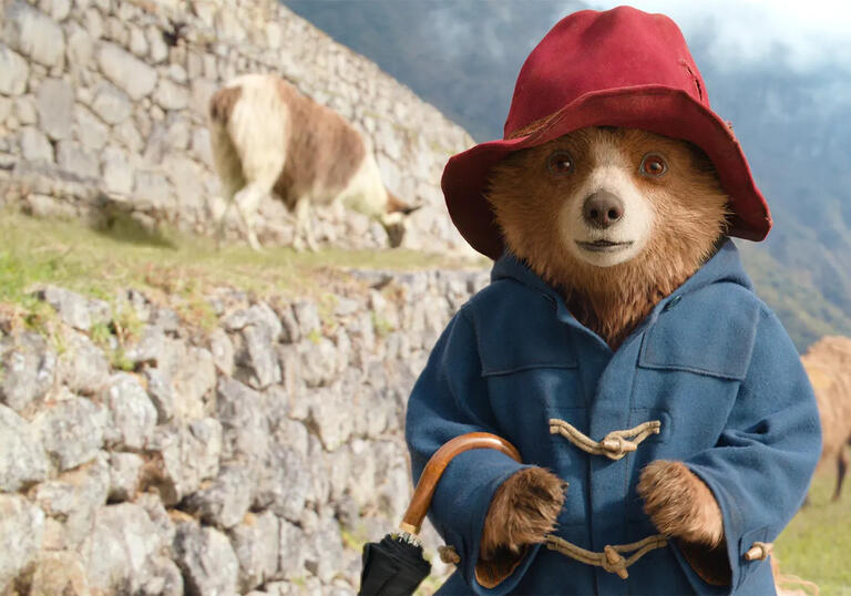 Paddington Bear is wearing his red hat and blue parka at Machu Picchu.