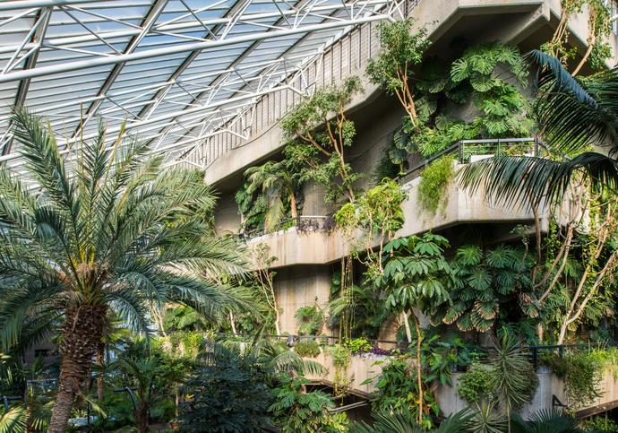 Christmas in the Conservatory