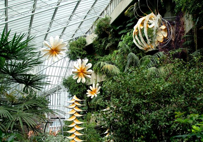 Cloud Songs on the Horizon installation in conservatory
