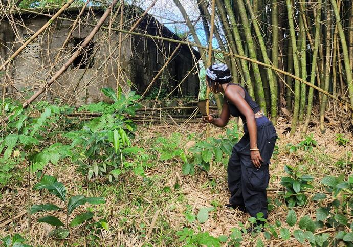 A person walks around a wooded area.