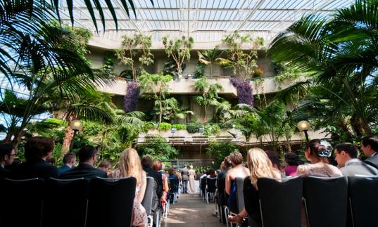 A photo of a wedding ceremony in the Barbican Conservatory