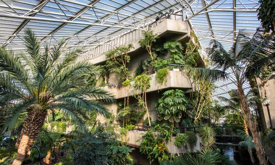 Photo of concrete flytower surrounded by trees and plants in the Barbican Conservatory