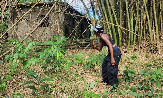 A person walks around a wooded area.