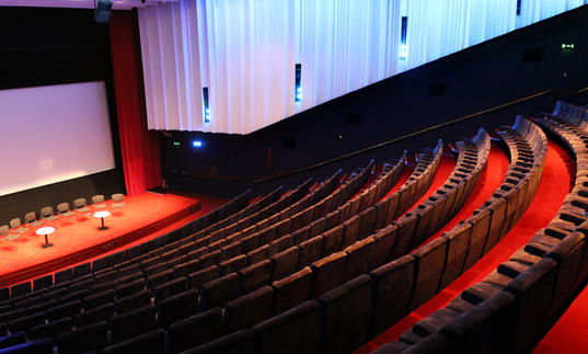 Barbican Cinema 1